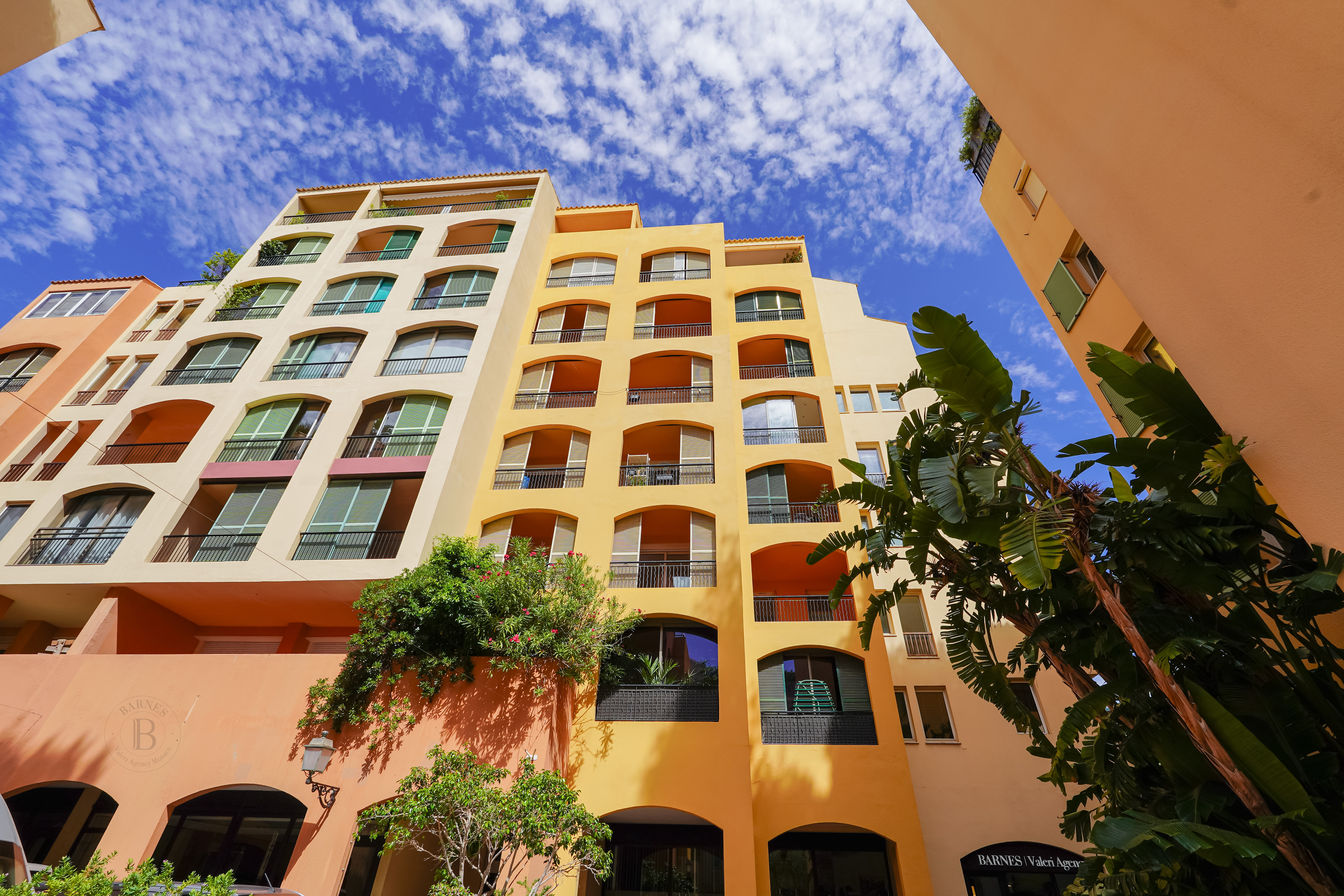 FONTVIEILLE - MICHELANGELO - STUDIO INVESTISSEMENT