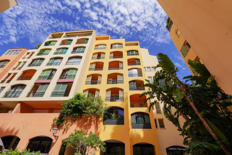 FONTVIEILLE - MICHELANGELO - STUDIO INVESTISSEMENT
