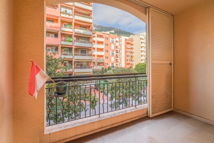 FONTVIEILLE - MICHELANGELO - STUDIO INVESTISSEMENT